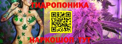 молекула духа Краснокаменск