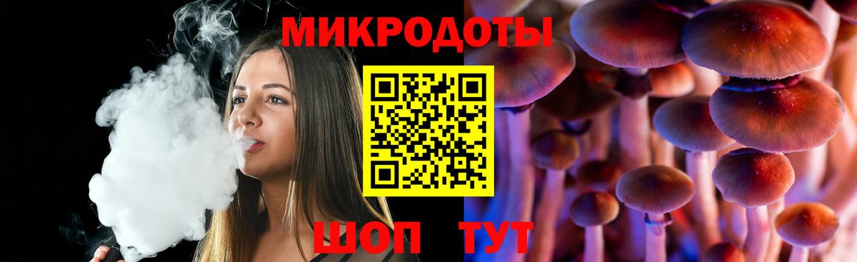 Галлюциногенные грибы GOLDEN TEACHER  Вход с VPN  где найти наркотики  Киреевск 